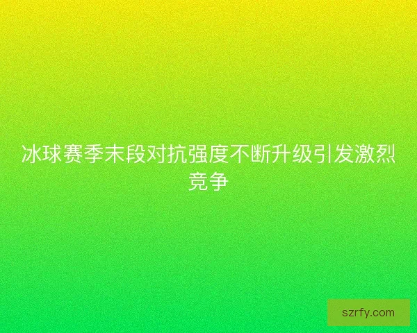 冰球赛季末段对抗强度不断升级引发激烈竞争